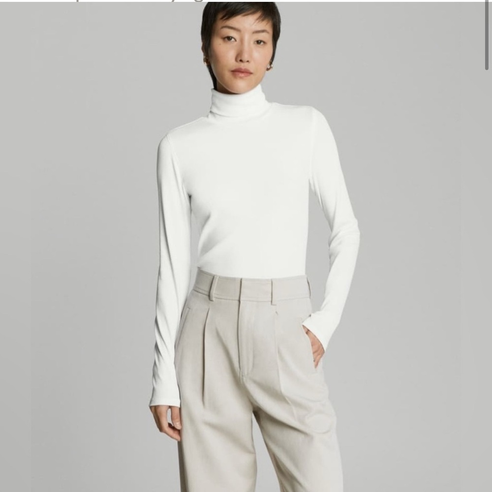 Everlane Supima Cotton Turtleneck